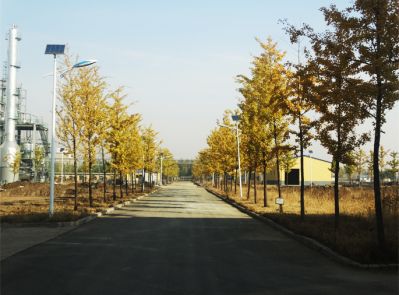 廠區(qū)風(fēng)貌